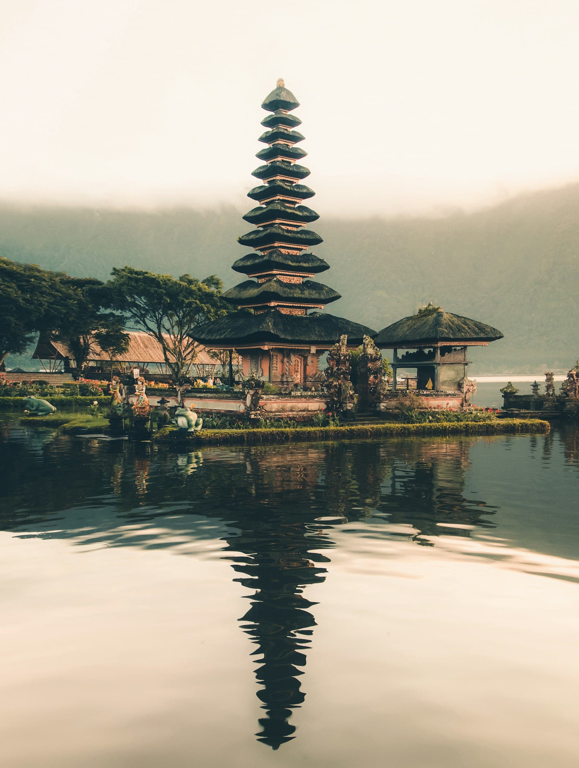 Bali rice terraces landscape